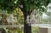 Quinta do Roseiral