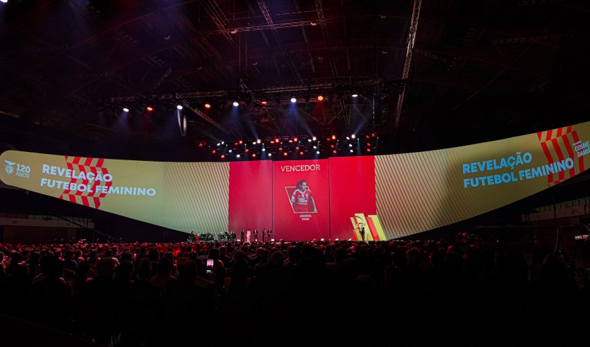 Galardões Cosme Damião 