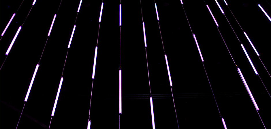 Meet - Altice Arena - 2019