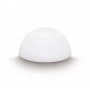 ½ Globe
